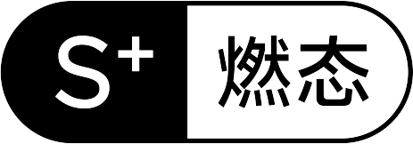 燃态